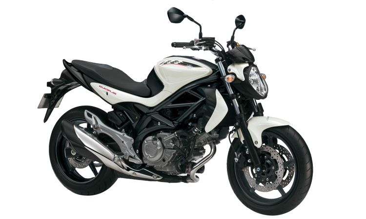 Suzuki Gladius 650 1